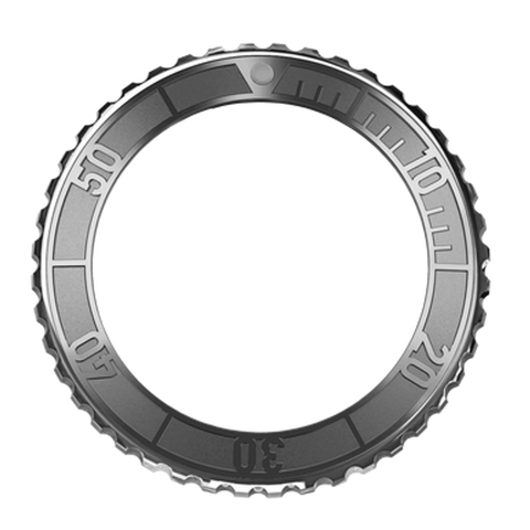 FORMEX REEF 42mm Stainless steel bezel